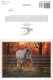 Format Spécial - 185 X 137 Mms Repliée - Animaux - Chevaux - Qiet Time By Chris Cummings - Carte Gallery Of Horses - Car - Pferde