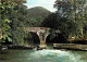 64 - Ascain - Pont Romain Sur La Nivelle - Carte Neuve - CPM - Voir Scans Recto-Verso - Ascain