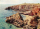 56 - Presqu'Ile De Quiberon - CPM - Voir Scans Recto-Verso - Quiberon