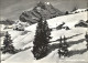 11631614 Braunwald GL Alp Mit Ortstock Glarner Alpen Winterimpressionen Braunwal - Autres & Non Classés
