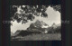 11631486 Braunwald GL Panorama Blick Gegen Ortstock Glarner Alpen Braunwald - Altri & Non Classificati