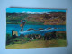 SCOTLAND   POSTCARDS  LOCH NESS MONSTER  AT CASTLE URQUHART  MORE  PURHRSAPS 10% DISCOUNT - Other & Unclassified