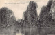 Viet Nam - Baie D'Along - Le Sphynx - Ed. P. Dieulefils 270 - Viêt-Nam