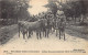 INDIA - Indian Army During World War I - Non-commissioned Officer And Mule Pack - Publ. E.L.D. E. Le Deley  - India