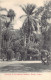 Sri Lanka - KANDY - Entrance To Peradeniya Gardens - Publ. Plâté & Co.  - Sri Lanka (Ceylon)