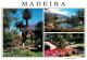 73070229 Madeira Funchal Madeira - Sonstige & Ohne Zuordnung