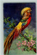 13022108 - Voegel Sign Carlo - Paradiesvogel - Birds