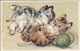 20048908 - Spielende Katzen - Sonstige & Ohne Zuordnung