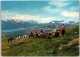 TROLLHEIMEN. -  Riding To The Mountains. - Norway