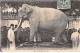 OUSSIERES - L'Eléphant Fritz Offfert Au Musée De Tours - Très Bon état - Tours