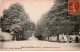 BRAY-sur-SEINE: Promenade Du Tapis Vert - Très Bon état - Bray Sur Seine