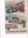 CHATILLON-COLIGNY - Souvenir - Très Bon état - Chatillon Coligny