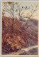 12010408 - Werbung Eduscho Kaffee - Ca 1935 - Werbepostkarten