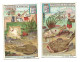 S 744, Liebig 6 Cards, Poissons De Mer  (ref B19) - Liebig
