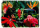 MARTINIQUE  Fleurs Tropicales (scan Recto-verso) Ref 1009 - Le Marin
