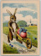 39168708 - Hase Vermenschlicht Schubkarre Mit Einem Osterei AK - Easter