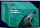 10-5-2024 (4 Z 36) Australia - NSW - Dolphin In Coffs Harbour (posted With Bird Stamp In 1997) - Fish & Shellfish