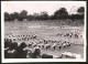 Fotografie Ansicht Tokio, 19. Meiji-Spiele Im Meiji-Shrine-Stadion 1940 - Vorführungen Von Schülerinnen  - Deportes