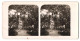 Stereo-Fotografie Neue Photographische Gesellschaft, Berlin-Steglitz, Genrebilder - Paar In Chinesischen Kostümen  - Stereoscopio