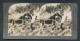 Stereo-Fotografie Keystone View Company, Meadville /Pa, Javanesen Trocknen Reis  - Métiers