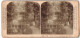 Stereo-Fotografie Ansicht New York, Rustic Arbor, Central Park  - Stereo-Photographie