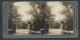 Stereo-Fotografie Keystone View Company, New York, Ansicht Potsdam, Die Historische Windmühle  - Stereoscopic