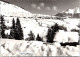 10-5-2024 (4 Z 40) Austria - Under Snow / Sous La La Neige (Tirol) B/w - Sonstige & Ohne Zuordnung