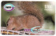 Trinidad & Tobago - Hungry Little Squirrel - Trinidad En Tobago