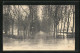CPA Auxonne, La Promenade (Inondation Du 15 Novembre 1913)  - Auxonne