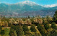 73012100 Los_Angeles_California Orange Groves Snow Capped Mountains - Other & Unclassified