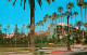 72981927 Beverly_Hills_California Beverly Hills Hotel Palm Trees Will Rogers Par - Autres & Non Classés