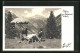 Foto-AK Hans Hruschka Nr. 764: Riffler Von Grawand, Zillertal  - Other & Unclassified