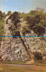 R067683 Rock Of Ages. Burrington Combe. 1966 - World