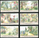 6 Sammelbilder Liebig, Serie Nr.: 1354, Die Blumenwelt Von Riviera, Mortola, San Remo, Esterel, Bordighera, Mentone  - Liebig