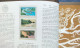 China Album 1991 MNH. - Unused Stamps