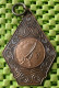 Medaile   : Nat. Princehof Tocht 1956 ( Meeuwen Leeuwarden ) -  Original Foto  !!  Medallion  Dutch . - Other & Unclassified