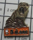 912B Pin's Pins / Beau Et Rare / ANIMAUX / CHIEN A PLIS SHAR-PEI PRESSING 5 A SEC - Animals