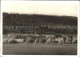 11621940 Birr Birrfeld Pestalozzi-Neuhof Birr - Andere & Zonder Classificatie