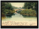 AK Magdeburg Rote Horn Brücke Elbinsel Park, Magdeburg/Hannover 17.01.1903 - Autres & Non Classés