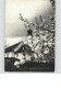 11595063 Solothurn Kapelle Solothurn - Andere & Zonder Classificatie