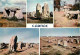 56 - Carnac - Mégalithes - Multivues - Carte Neuve - CPM - Voir Scans Recto-Verso - Carnac