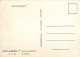 CADILLAC  ELDORADO Par Jean Michel CRESTO  (scan Recto-verso) QQ 1140 - PKW
