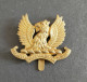 Insigne De Casquette Ayrshire (comte De Carrick's Own) Yeomanry Regiment Ww1 Ww2 - 1914-18