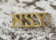 Titre D'épaule  North Somerset Yeomanry NSY Regiment - 1914-18