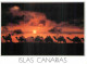 Espagne - Espana - Islas Canarias - Chameaux - Coucher De Soleil - CPM - Voir Scans Recto-Verso - Autres & Non Classés