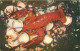 Recettes De Cuisine - Atlantic Coast Lobster - Gastronomie - CPM - 14 X 9 Cms - Carte Neuve - Voir Scans Recto-Verso - Recipes (cooking)