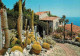 Fleurs - Plantes - Cactus - Eze Village - Le Jardin Exotique - CPM - Voir Scans Recto-Verso - Cactussen