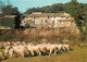 Animaux - Moutons - Provence - Vieux Mas Provençal La Cremade - CPM - Voir Scans Recto-Verso - Sonstige & Ohne Zuordnung