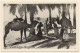 Algeria: Caravane Au Repos /  Camels - Nomads (Vintage RPPC 1920s/1930s) - Scènes & Types