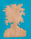 Superbe Chromo Decoupis Gaufré Embossed Grand Format Arbre  Majestueux Maison Circa 1890 Automne - Andere & Zonder Classificatie